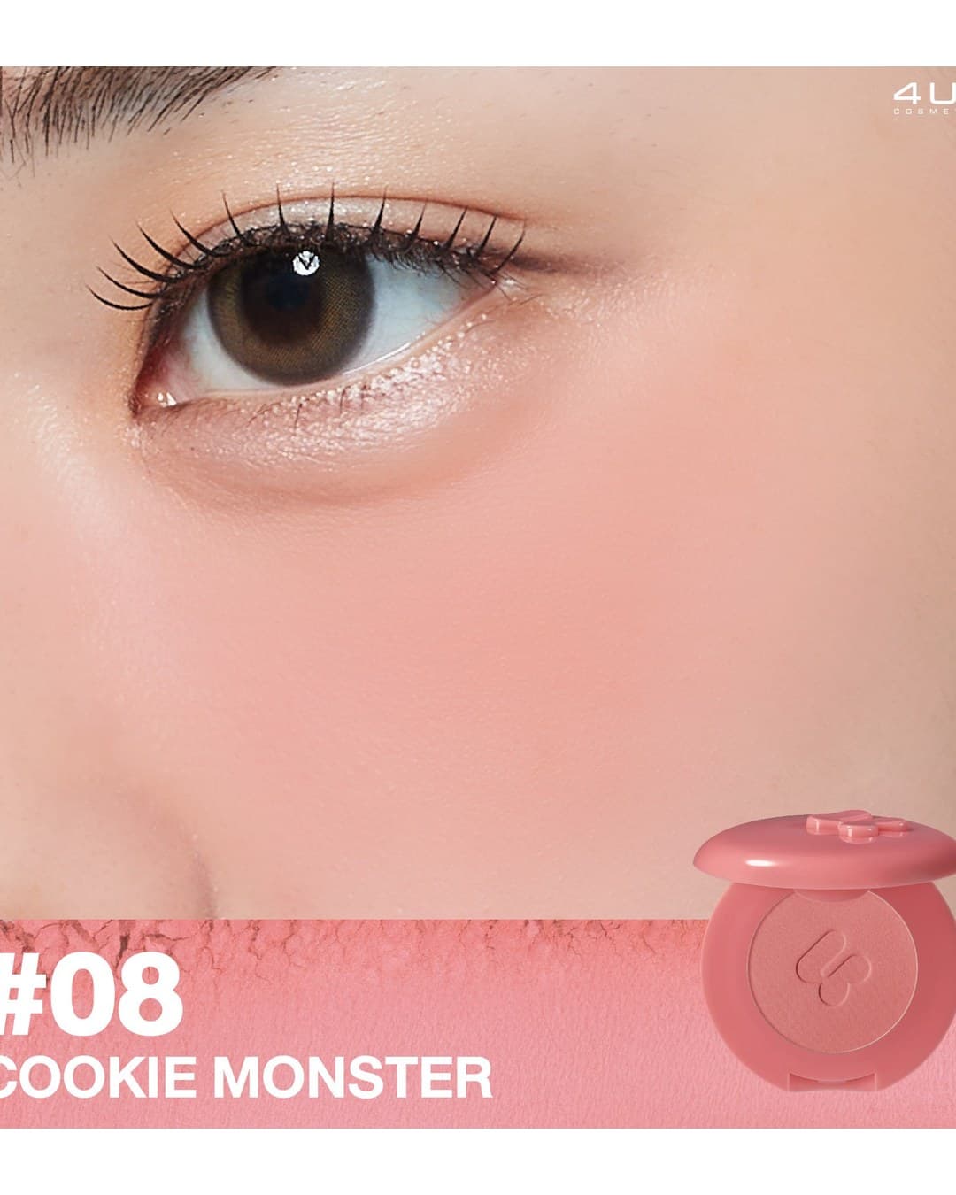COOKIE MONSTER 08